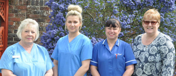 The Wedge Care Home